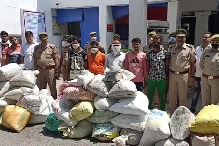 Greater Noida police arrested 6 international hemp smuggler