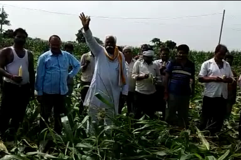 Protest of farmers demanding compensation