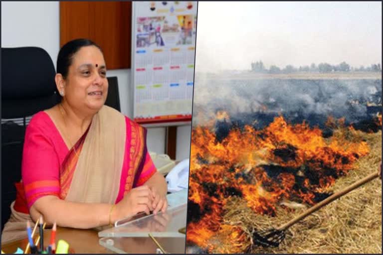 cs meeting haryana stubble burn