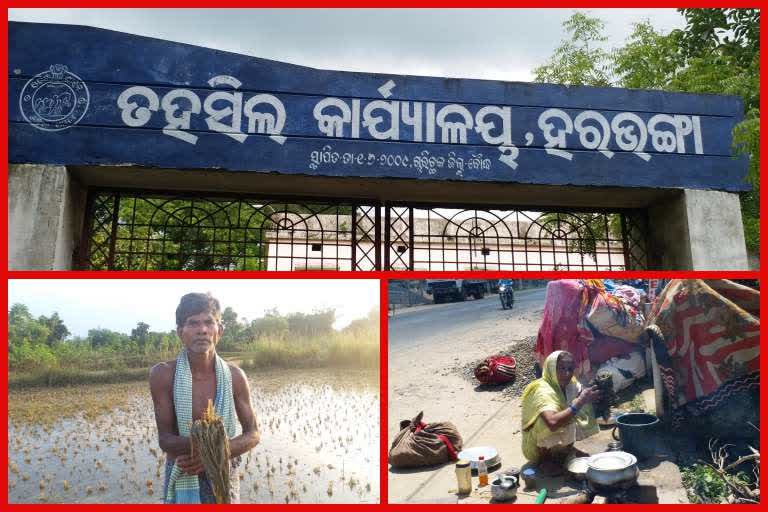 flood like situation in boudh, boudh latest newsm, mahandi water level in boudh, after effect of rain in boudh, ବୌଦ୍ଧରେ ବନ୍ୟା ପରିସ୍ଥିତି, ବୌଦ୍ଧ ଲାଟେଷ୍ଟ ନ୍ୟୁଜ୍‌, ବୌଦ୍ଧରେ ମହାନଦୀ ଜଳସ୍ତର, ବୌଦ୍ଧରେ ବର୍ଷା ପରର ସ୍ଥିତି