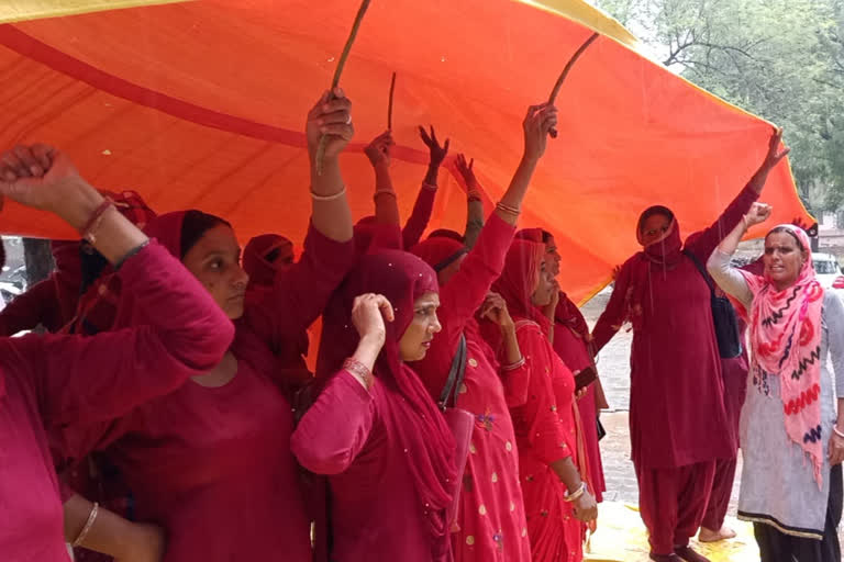 asha workers protest in charkhi dadri