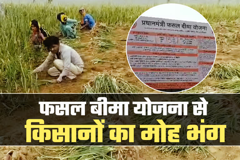 Prime Minister Crop Insurance Scheme