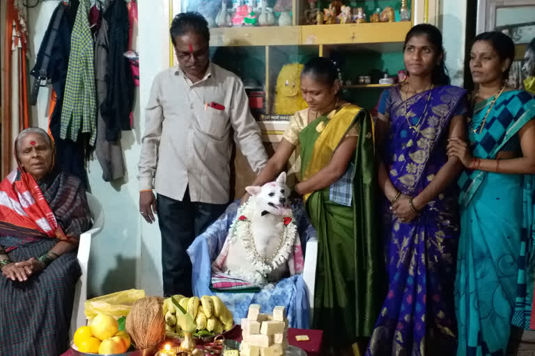 A lavish  Baby shower for a dog in Vijayapura