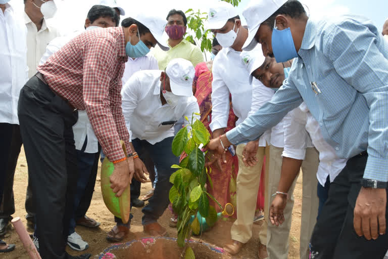 collector haritha haram program in medchal district