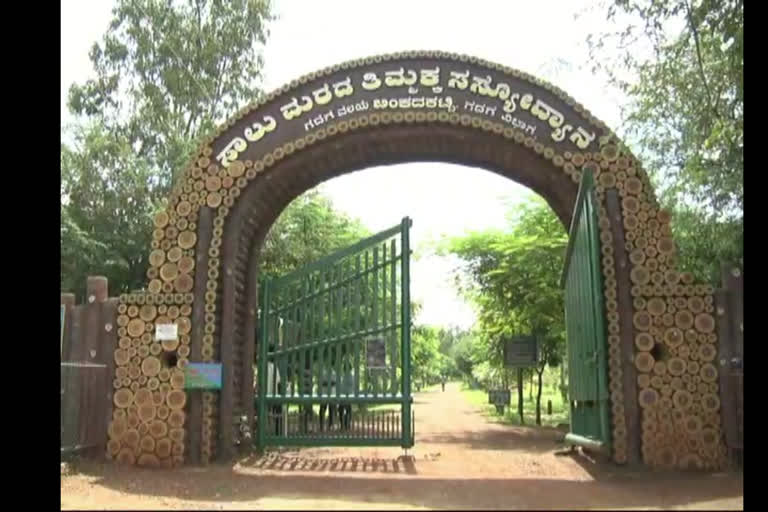 Innovative project at the Thimmakka Botanical Garden