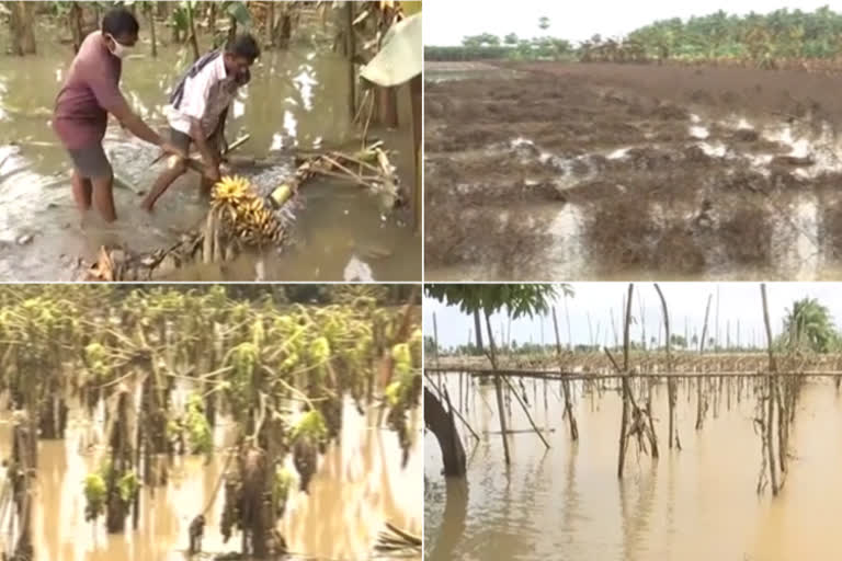 story on floods at east godavari