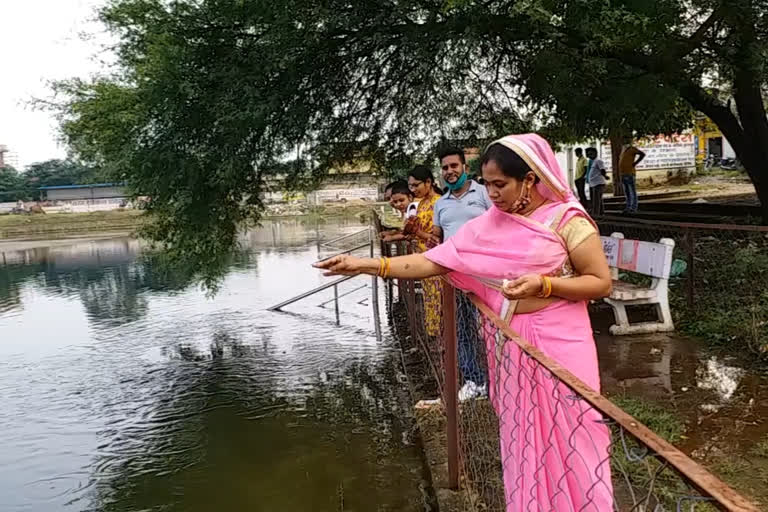 beautification on dulhi pond