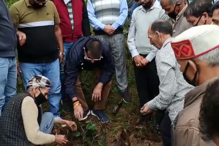 Plantation programme in Kathlag ward