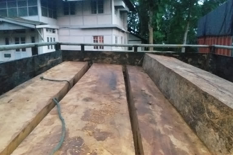 wood seized at golaghat