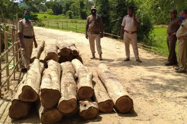 illgal wood recover at karimganja forest department