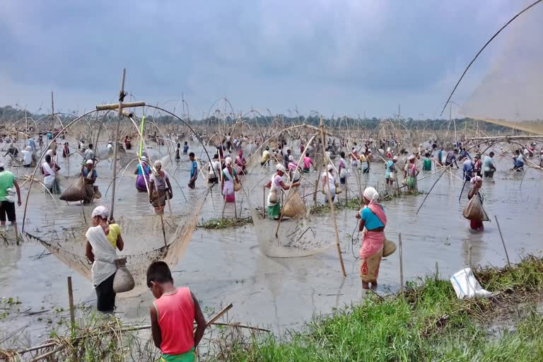 fishing at Gariya Bil in darrang assam etv bharat news