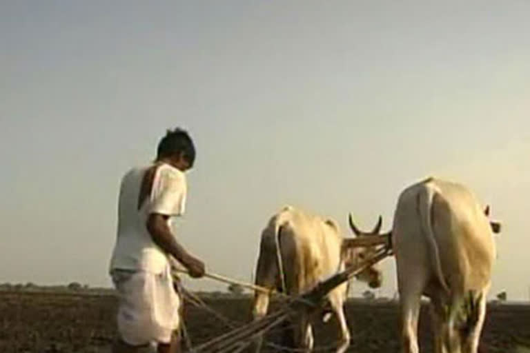 agriculture minister dadaji bhuse