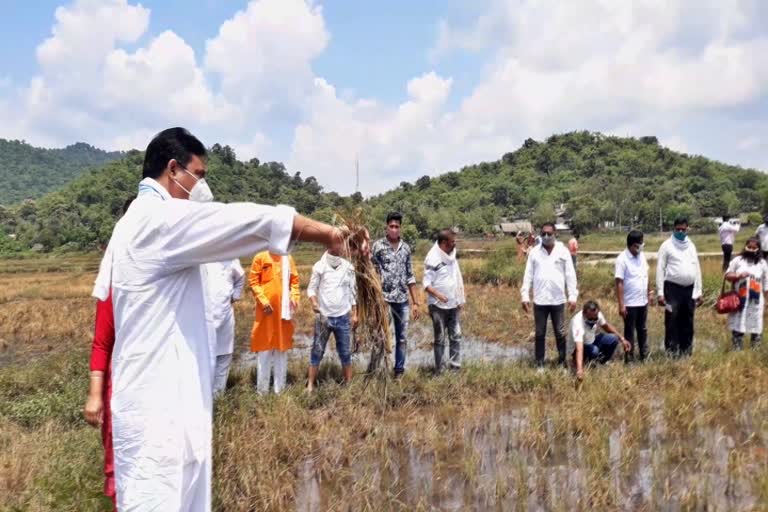 ବନ୍ୟା କ୍ଷତିଗ୍ରସ୍ତ ଅଞ୍ଚଳ ଗସ୍ତ କଲା କଂଗ୍ରେସ ପ୍ରତିିନିଧି ଦଳ