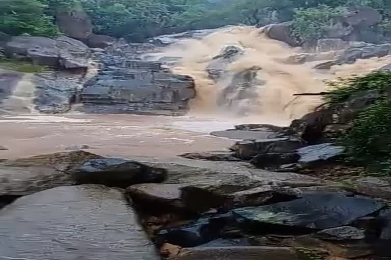 one-person-swept-away-in-malanjakudum-falls-of-kanker