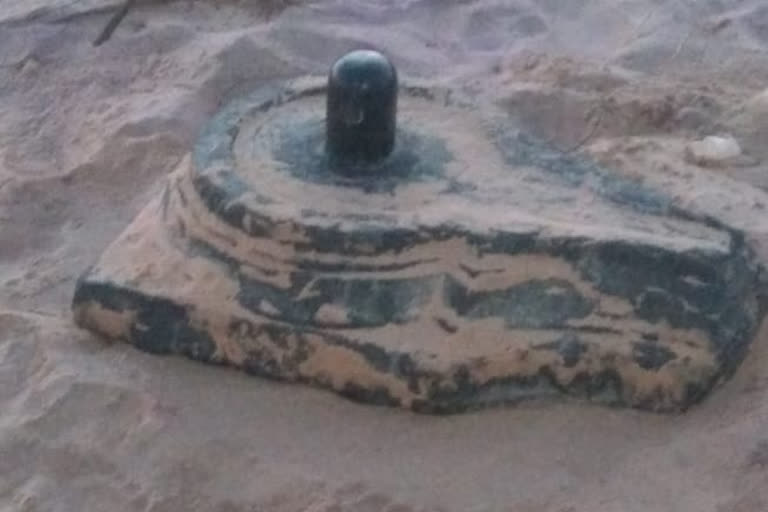 Shivalingam is found on the Pallepalem beach