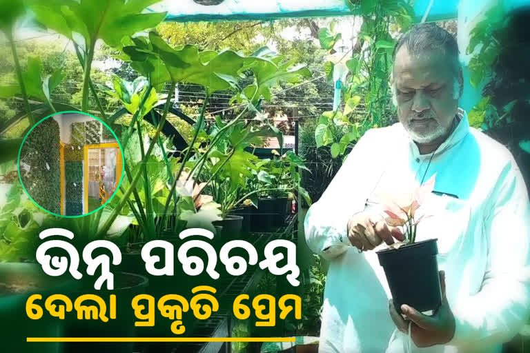 ଇଣ୍ଡୋର ପ୍ଲାଣ୍ଟେସନ କରି ପ୍ରେରଣା ପାଲଟିଲେ ଅଶୋକ