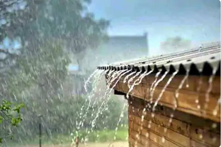 rain in maharashtra