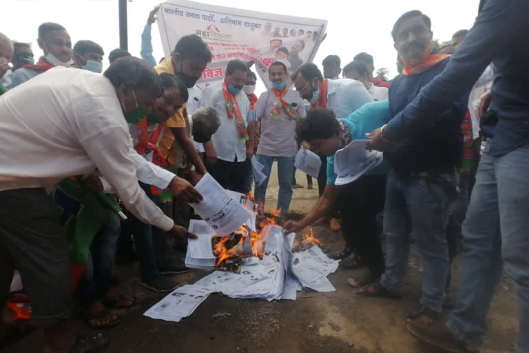 bjp-protested-in-front-of-alibagh-mseb-office