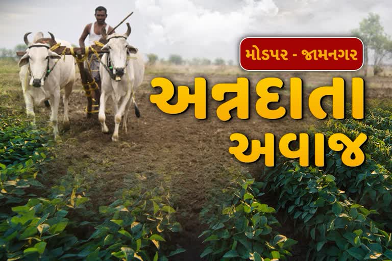 jamnagar Farmers