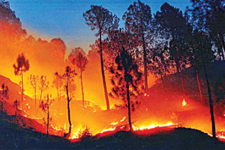 Wild fire in California