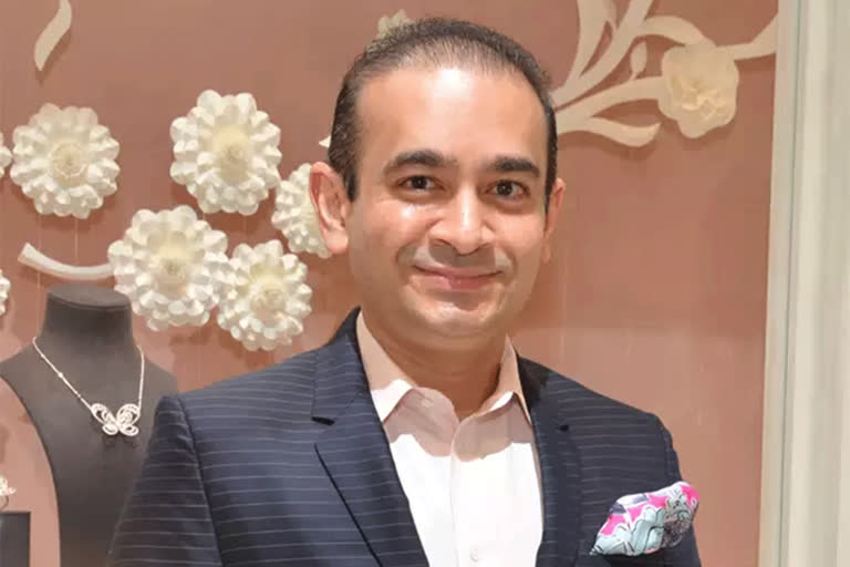 Nirav Modi extradition case