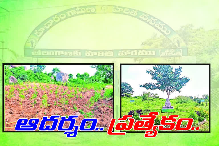 HARITHA HARAM PARKS DEVELOPMENT IN KONAIEPALLY VILLAGE AT MEDAK DIST