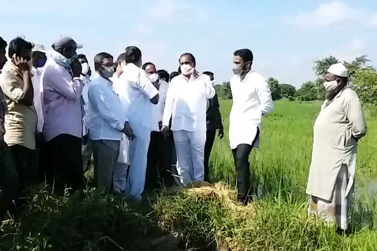 MLAs visited submerged Kundu river villages