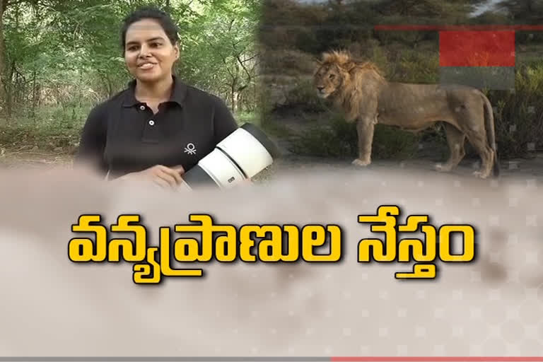 wild life photographer susmitha reddy message about animals