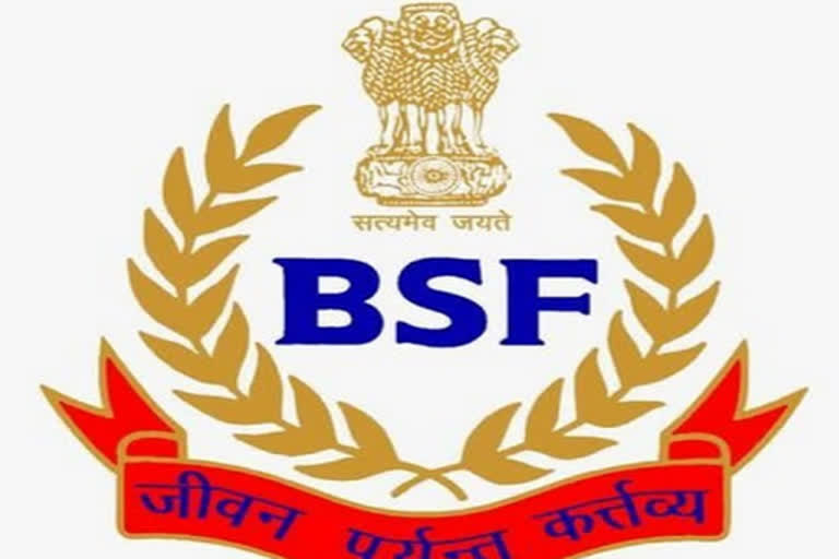 BSF arrests 3 Bangladeshi nationals from near border