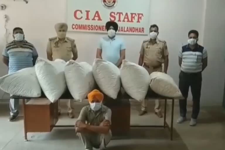 jalandhar smuggler arrested with 110 kg poppy husk