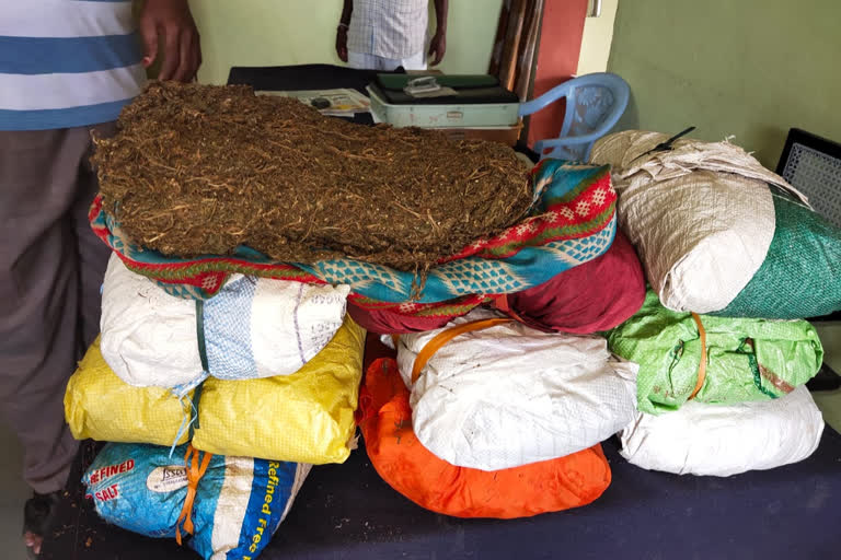 mahabubabad police caught six lakh worth illegal ganja