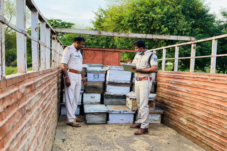 Accused of stealing bee boxes and roofs arrested