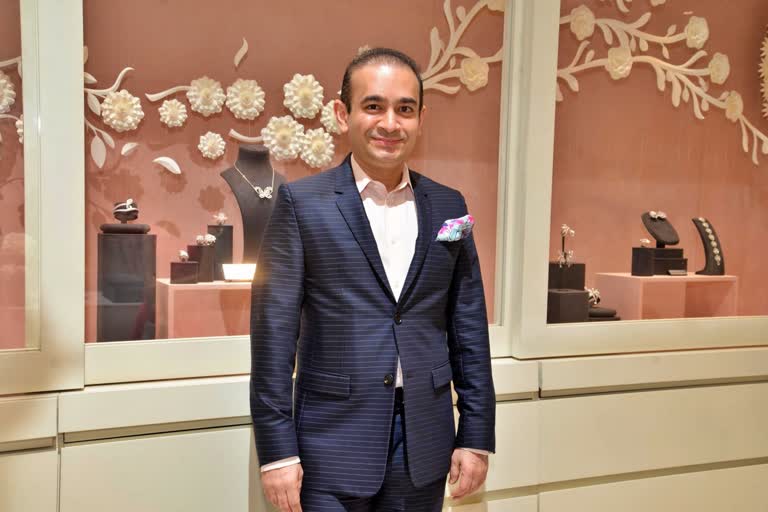 nirav modi