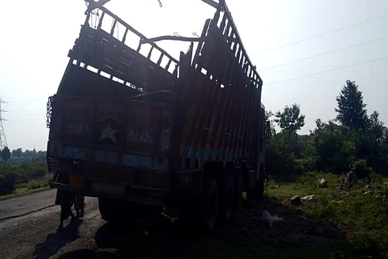 truck-full-of-cattle-overturned-44-died-in-sagar