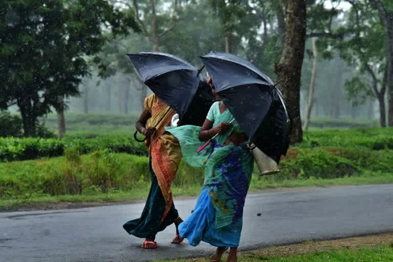 rain in raipur