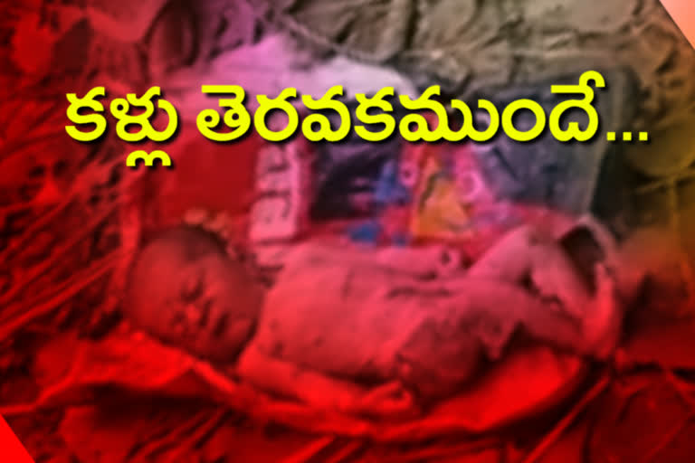 born baby died in dogs attack in nelakondapally