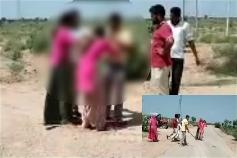 जोधपुर की खबर,  rajasthan news,  etvbharat news,  rajasthan hindi news,  jodhpur news,  जोधपुर वीडियो वायरल,   जोधपुर में खेत विवाद,  फलोदी थाना पुलिस,  Video of assault on women, video viral in jodhpur