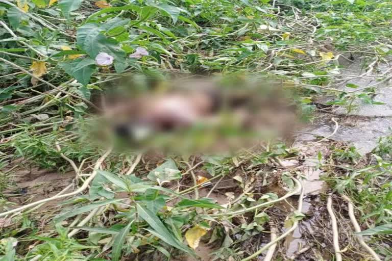 man dead body found in giridih, News of Giridih Deori police station, young man drowned in river in Giridih, गिरिडीह से मिला एक शख्स का शव, गिरिडीह देवरी थाना की खबरें, गिरिडीह में नदी में बहा युवक