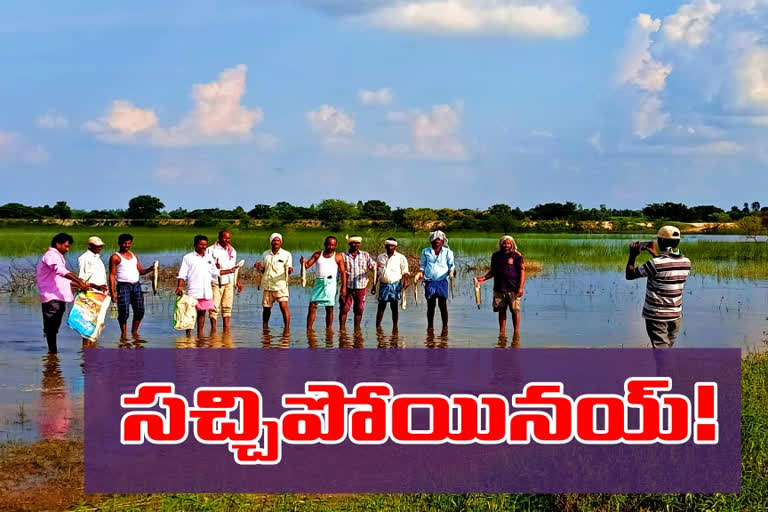 fishery officervisited velpugonda river