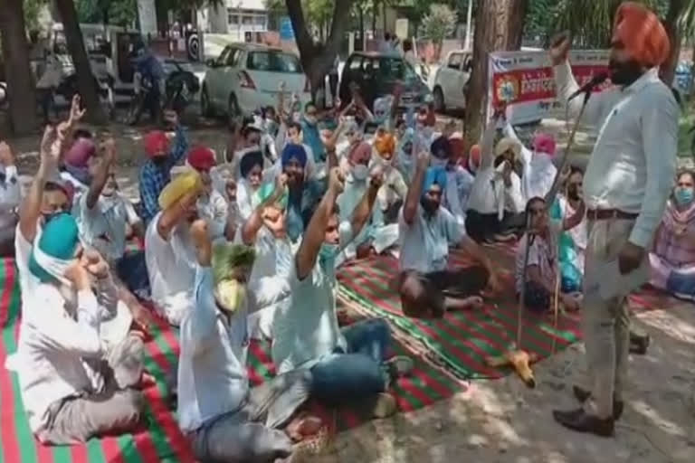 Punjab and UT Employees Struggle Front staged a protest outside the district administrative complex of sri fatehgarh saihb