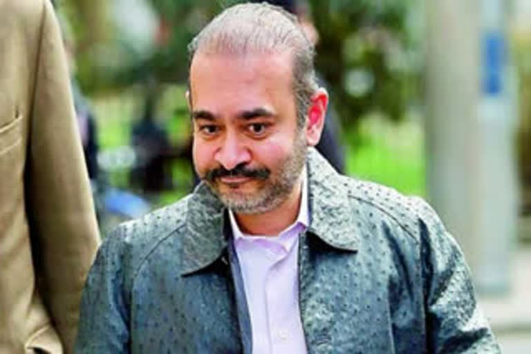 Extradition case hearing focused on mental health of Nirav Modi