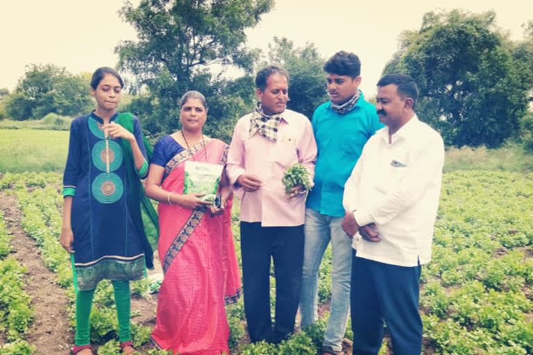 Coriander farming