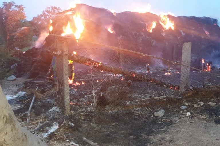 Accused set fire to cattle food at raichur