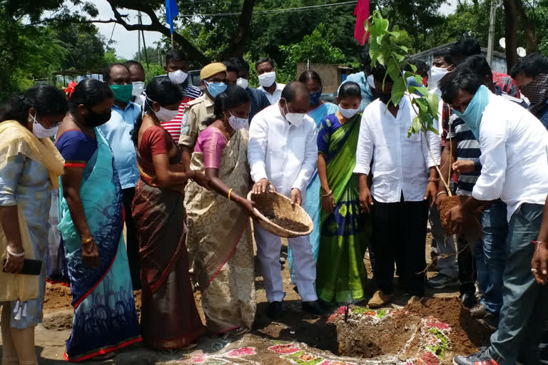 rural nature forest program at illandu