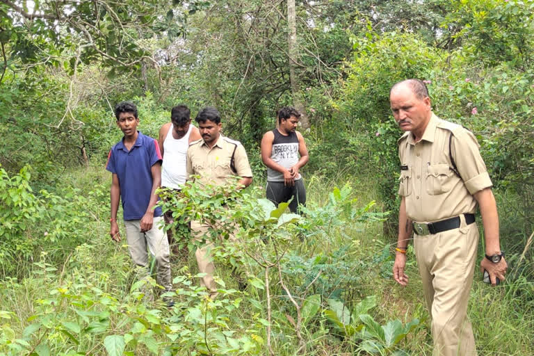 అటవీ ఉత్పత్తుల కోసం వెళ్లి మహిళ అదృశ్యం