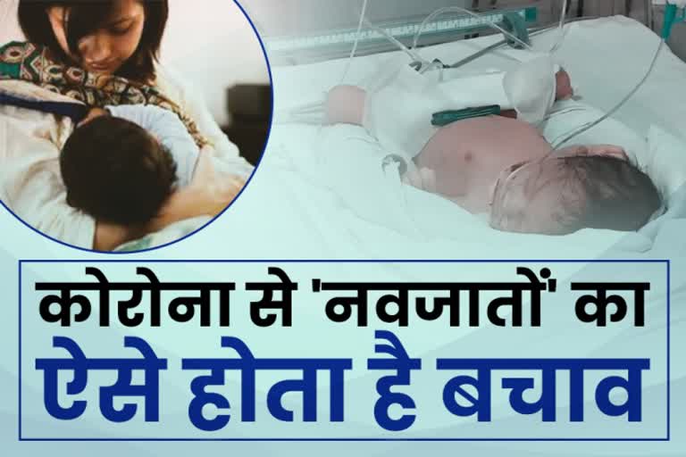 Corona treatment of pregnant woman, राजस्थान हिंदी न्यूज