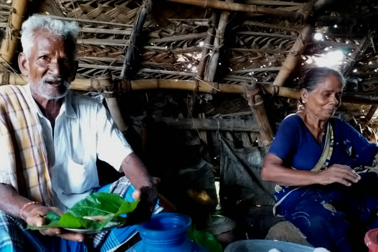 Filling poor stomachs loftier than income earned"- Affection of grandma selling idlis at one rupee in karnataka, tiruvaroor