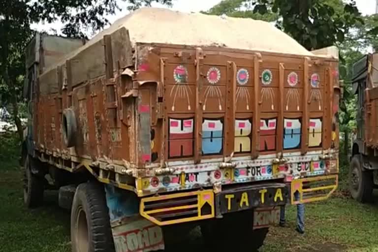 8 truck seized by Bamunigaon Rnger from singimari of Chaigaon