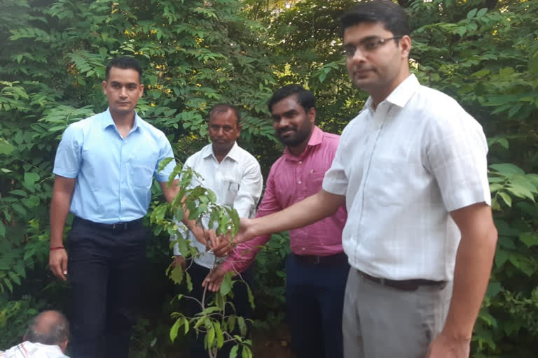 करौली न्यूज़, Forest Festival 2020