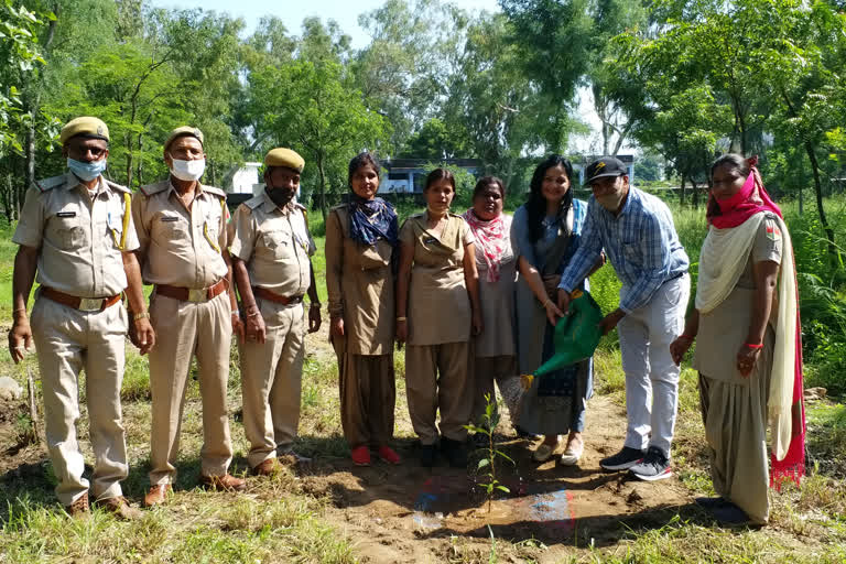 Plantation Program organized, वन्यजीवों की सुरक्षा के लिए पौधारोपण